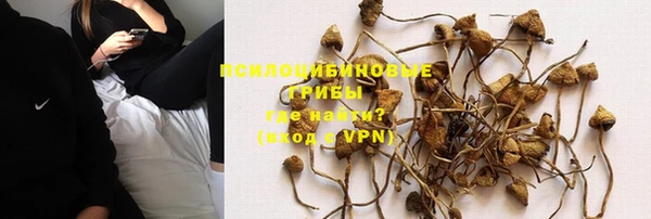 гашик Надым