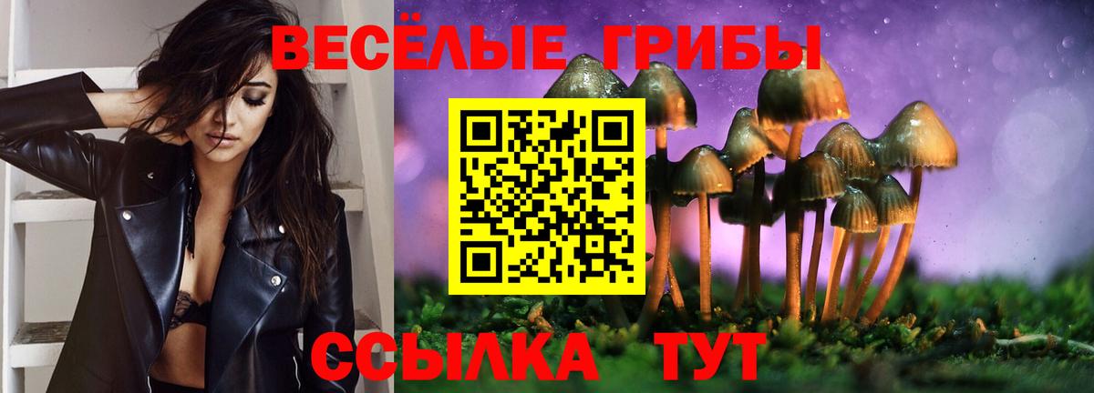 Псилоцибиновые грибы мухоморы  Вход с VPN  где купить   Канаш 