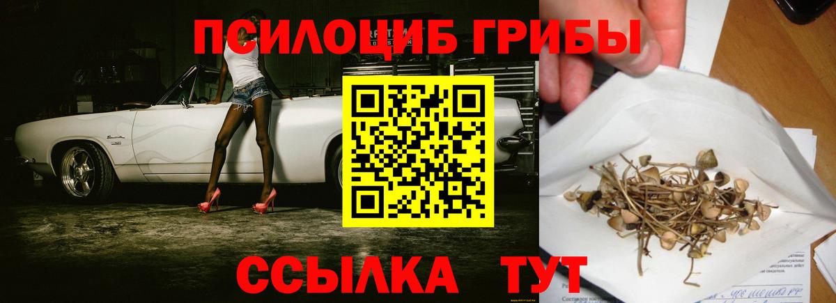 Меф   ГАШ  ГАШ  МДМА  МЕФ  Канаш  Марихуана  Кокаин  Вход с VPN 